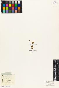 SW_BNB_s3010-05535_IMG-0000000001