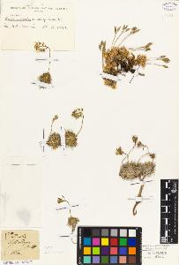 SW_BNB_s3010-05536_IMG-0000000001