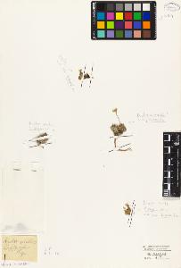 SW_BNB_s3010-05539_IMG-0000000001