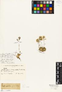 SW_BNB_s3010-05540_IMG-0000000001
