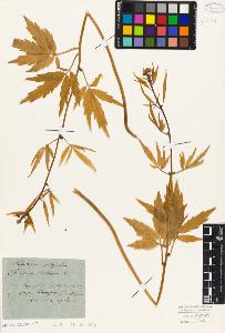 SW_BNB_s3010-05541_IMG-0000000001
