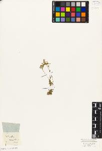 SW_BNB_s3010-05542_IMG-0000000001