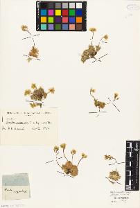SW_BNB_s3010-05544_IMG-0000000001