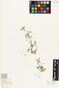 SW_BNB_s3010-05546_IMG-0000000001