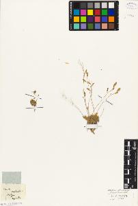 SW_BNB_s3010-05547_IMG-0000000001
