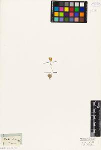 SW_BNB_s3010-05549_IMG-0000000001