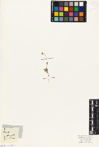 SW_BNB_s3010-05550_IMG-0000000001