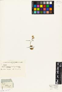 SW_BNB_s3010-05551_IMG-0000000001