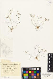 SW_BNB_s3010-05556_IMG-0000000001