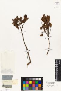 SW_BNB_s3010-05558_IMG-0000000001