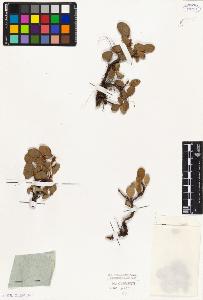 SW_BNB_s3010-05563_IMG-0000000001