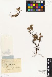 SW_BNB_s3010-05564_IMG-0000000001