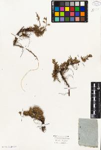 SW_BNB_s3010-05566_IMG-0000000001