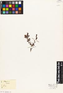 SW_BNB_s3010-05568_IMG-0000000001