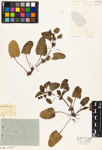 SW_BNB_s3010-05577_IMG-0000000001