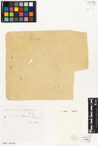 SW_BNB_s3010-05590_IMG-0000000001