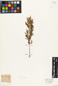 SW_BNB_s3010-05594_IMG-0000000001