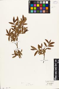 SW_BNB_s3010-05597_IMG-0000000001