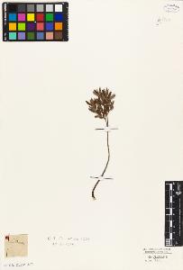 SW_BNB_s3010-05598_IMG-0000000001