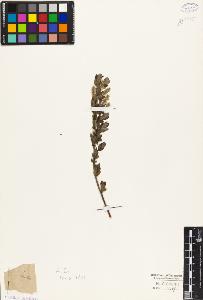 SW_BNB_s3010-05602_IMG-0000000001