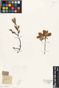SW_BNB_s3010-05603_IMG-0000000001