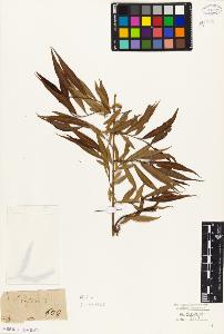 SW_BNB_s3010-05606_IMG-0000000001
