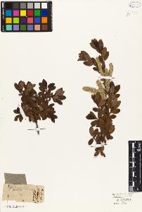SW_BNB_s3010-05607_IMG-0000000001