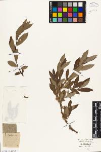 SW_BNB_s3010-05613_IMG-0000000001
