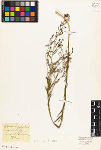 SW_BNB_s3010-05614_IMG-0000000001