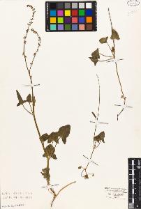 SW_BNB_s3010-05620_IMG-0000000001