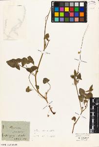 SW_BNB_s3010-05621_IMG-0000000001