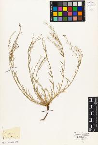 SW_BNB_s3010-05625_IMG-0000000001