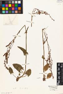 SW_BNB_s3010-05629_IMG-0000000001