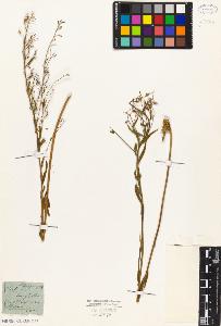 SW_BNB_s3010-05632_IMG-0000000001