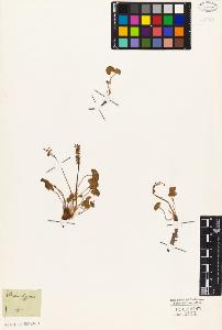 SW_BNB_s3010-05643_IMG-0000000001
