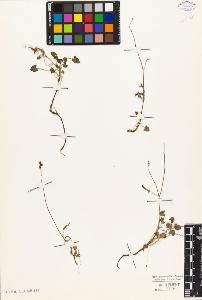 SW_BNB_s3010-05646_IMG-0000000001