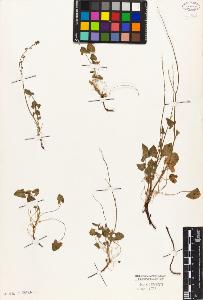 SW_BNB_s3010-05648_IMG-0000000001