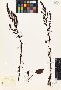 SW_BNB_s3010-05650_IMG-0000000001