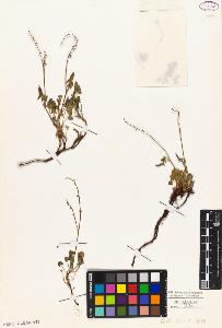 SW_BNB_s3010-05656_IMG-0000000001