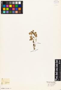 SW_BNB_s3010-05659_IMG-0000000001