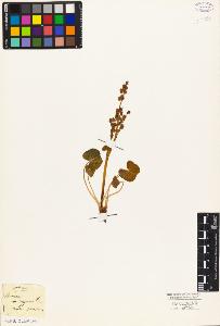 SW_BNB_s3010-05660_IMG-0000000001