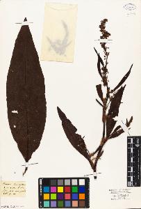 SW_BNB_s3010-05664_IMG-0000000001