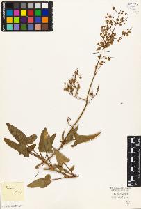 SW_BNB_s3010-05665_IMG-0000000001