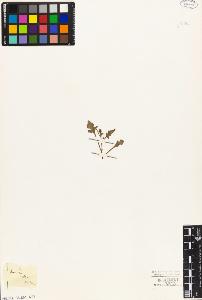 SW_BNB_s3010-05667_IMG-0000000001
