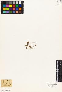 SW_BNB_s3010-05669_IMG-0000000001