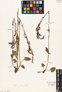 SW_BNB_s3010-05670_IMG-0000000001