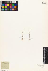 SW_BNB_s3010-05673_IMG-0000000001