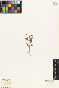 SW_BNB_s3010-05676_IMG-0000000001