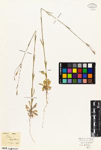 SW_BNB_s3010-05679_IMG-0000000001