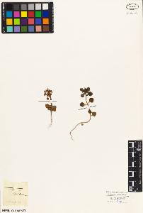 SW_BNB_s3010-05684_IMG-0000000001